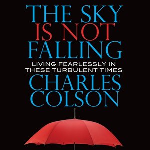 The Sky Is Not Falling - Audiobook